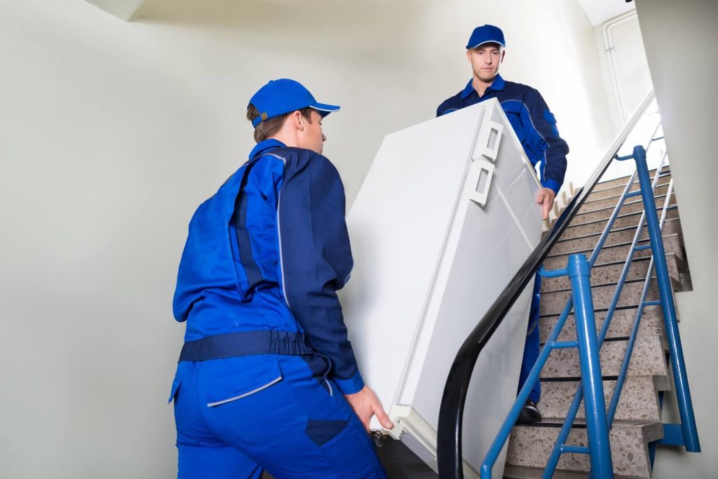 Quant ha de reposar un refrigerador després del transport: quan i com engegar un refrigerador nou