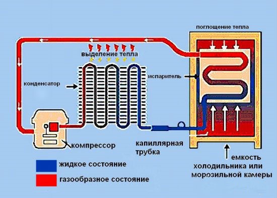 Колко трябва да стои хладилник след транспортиране - кога и как да включите нов хладилник