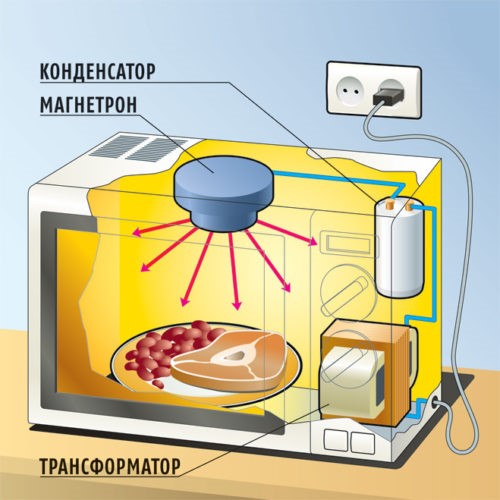 Das Funktionsprinzip des Mikrowellenofens und wie man das richtige Gerät auswählt