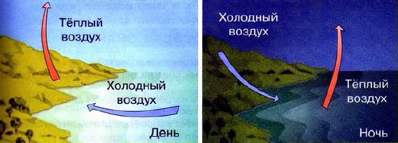 Конвекция във фурната: какво представлява и защо се нуждаете от режим на конвекция, видове и предимства