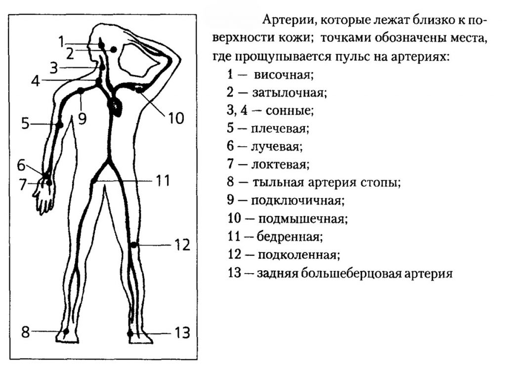 Как да измерваме пулса