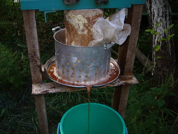 DIY juicer: nødvendige dele og monteringsanvisninger