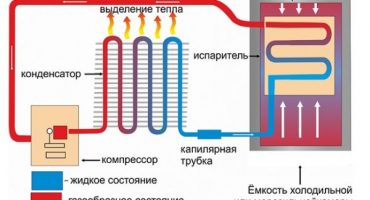 Schemat połączeń i struktura lodówki