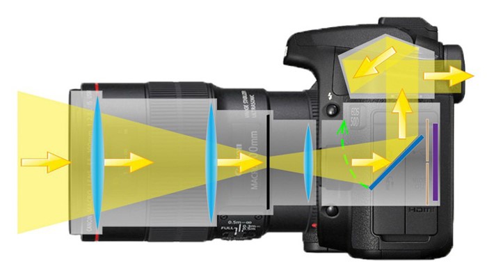 Wie wählt man eine Spiegelreflexkamera (DSLR)?