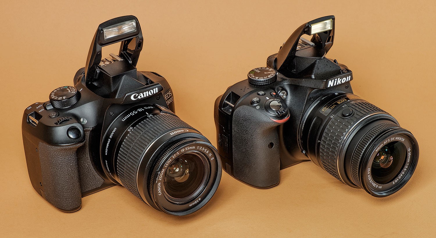 Nikon oder Canon: Welche Spiegelreflexkamera ist besser und wie trifft man eine Wahl?