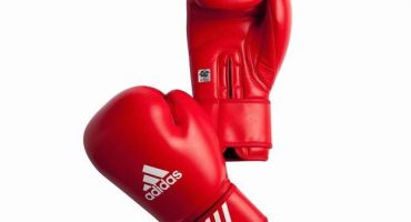 Die besten Boxhandschuhe - TOP 5 der beliebtesten Modelle